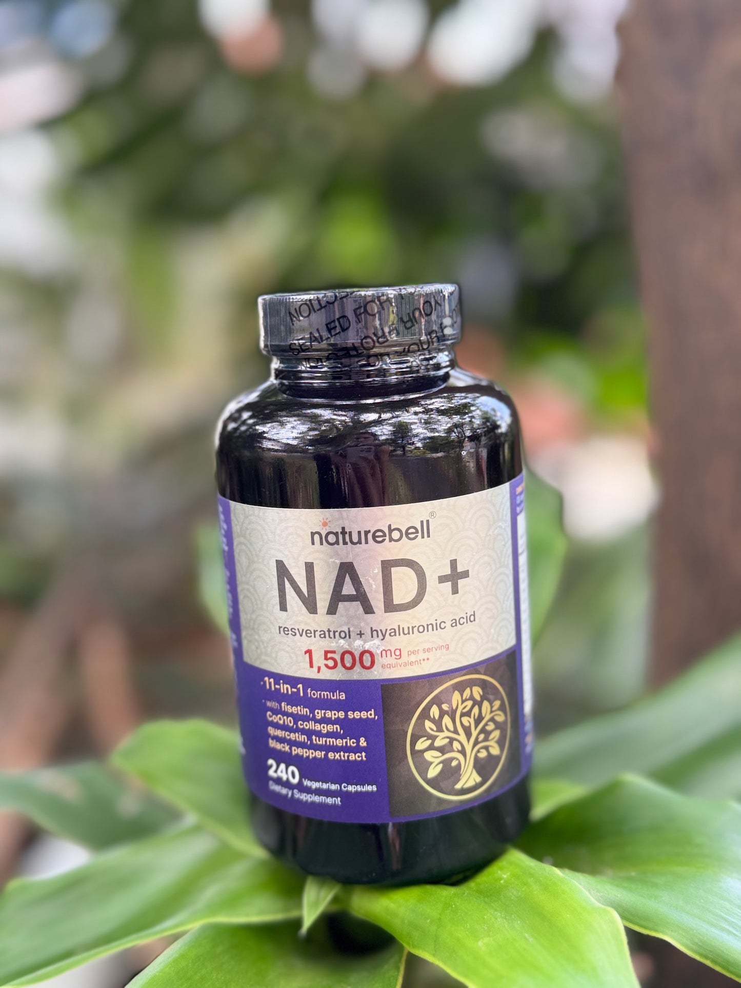 NAD+ resveratro+acido hialuronico