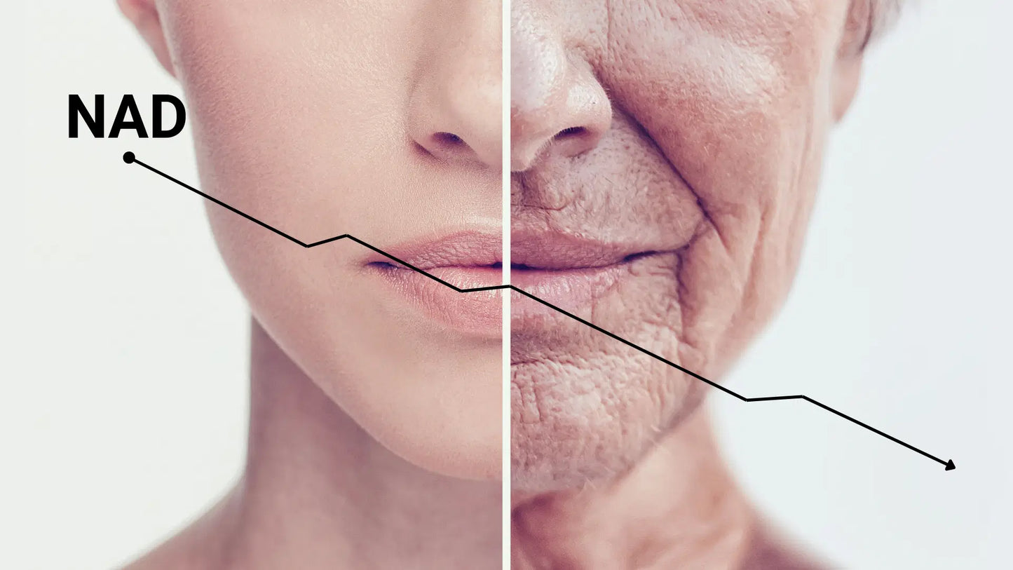 NAD+ nicotinamida adenina dinucleótido Nutricost