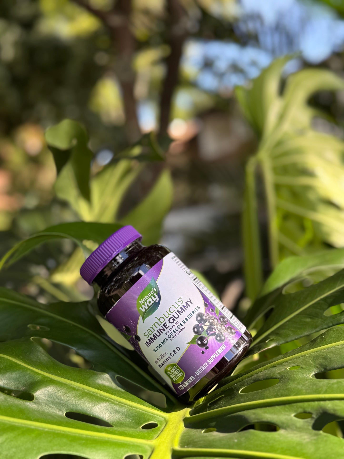 Sambucus Inmune gummy