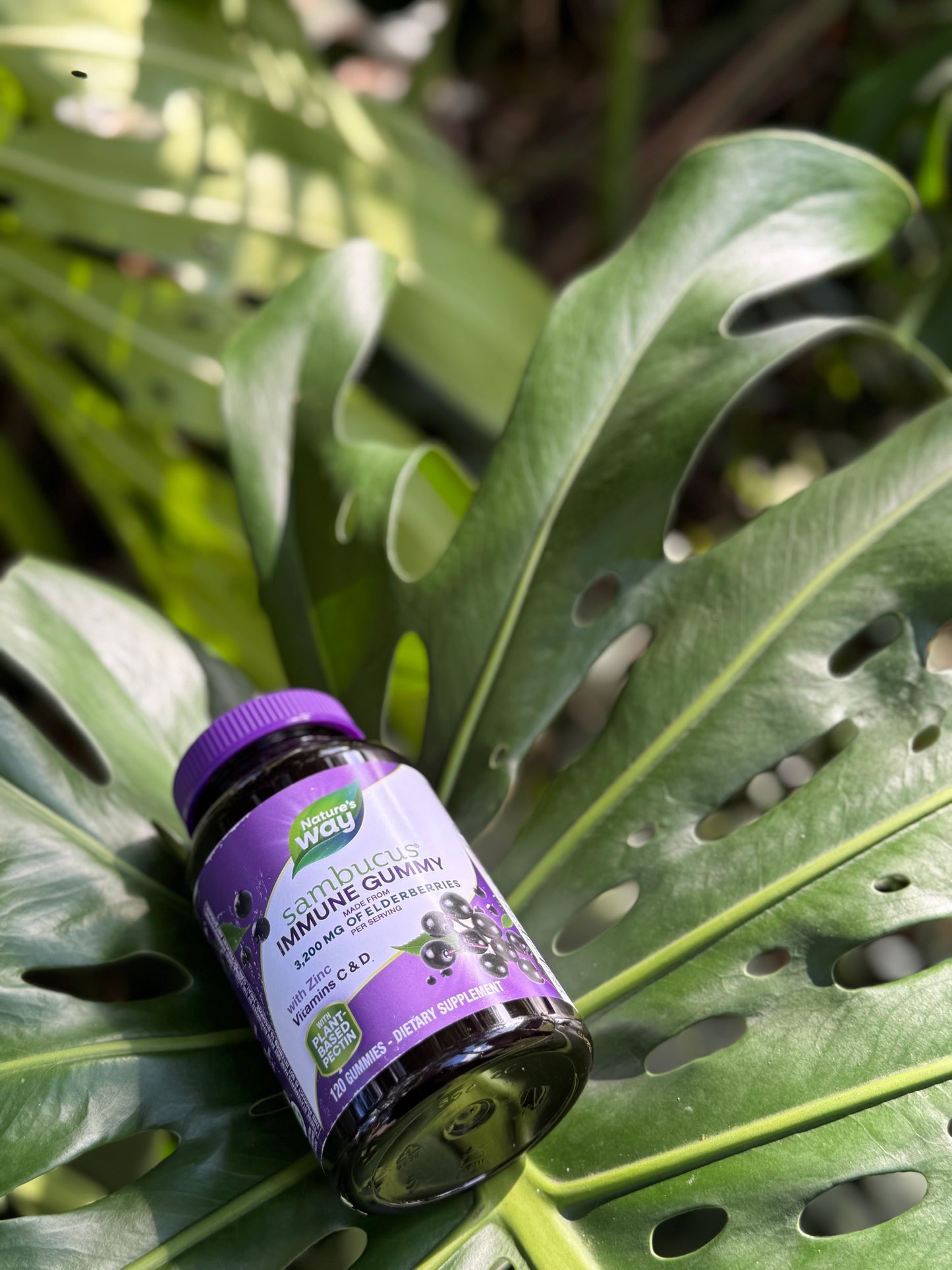 Sambucus Inmune gummy