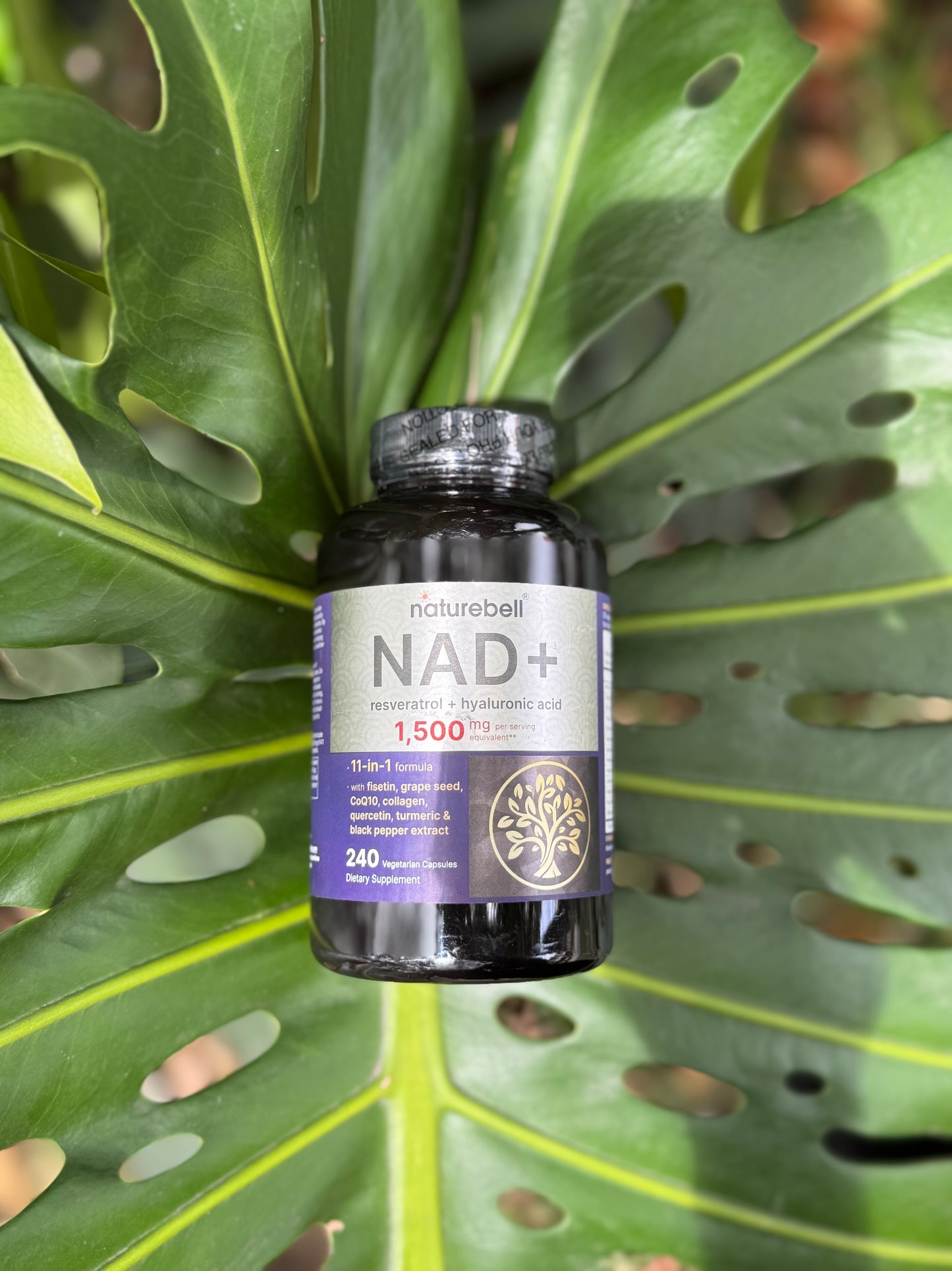 NAD+ resveratro+acido hialuronico